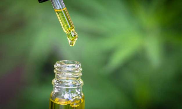 Things to Consider when Choosing Cbd Oil